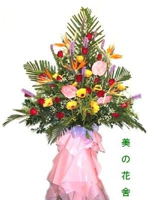 �}�i���x - flbk0261
