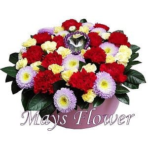 ˸`x mothers-day-flower-2437