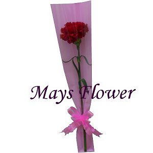 Mother’s Day Flower & Gift mothers-day-flower-2475