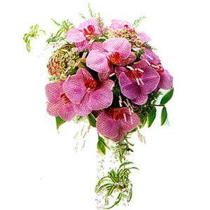 Wedding Bouquet - wedd0500