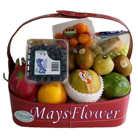 Fruit Basket - fruit-basket-2142