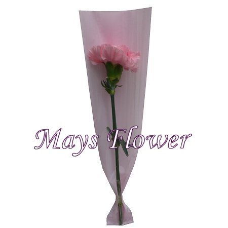 Mother's Day Flower - mothers-day-flower-2473