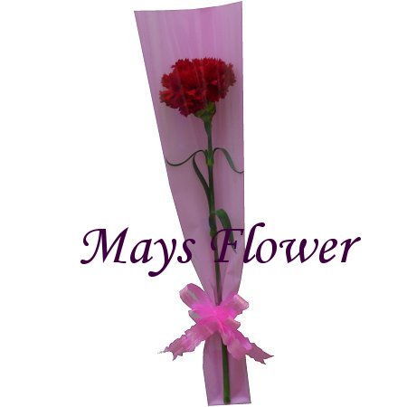 ˸` - mothers-day-flower-2475