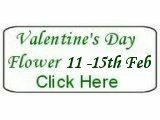 Valentine's Day Flower
