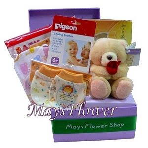 Newborn Baby Gift Baskets baby-basket-1009