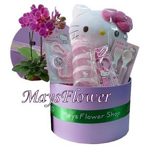 Newborn Baby Gift Baskets baby-basket-1010