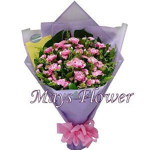 Carnation Bouquet carnation-0408
