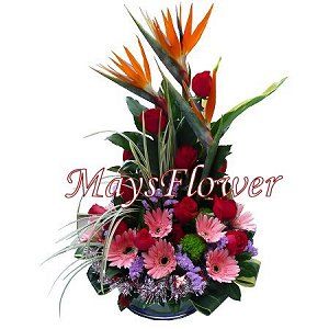 聖誕禮籃推介 christmas-hamper-1752
