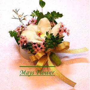 Corsage cors0080