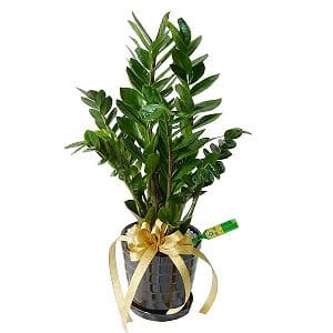 ˸`§x fathers-day-gift-4313