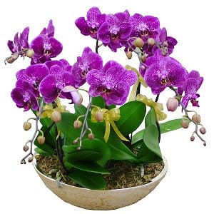 ˸`§x fathers-day-gift-4314