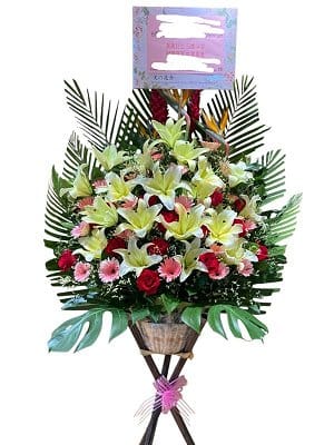 }ix | D  flower-basket-0277