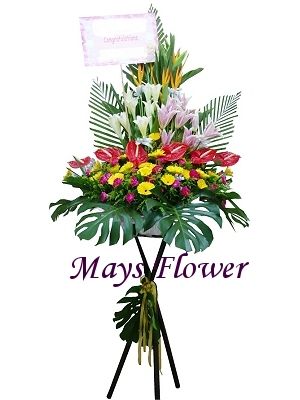 �}�i���x | �������D  flower-basket-0153