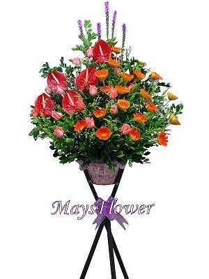 }ix | D  flower-basket-0103