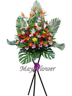 Grand Opening Flower Basket flbk0104