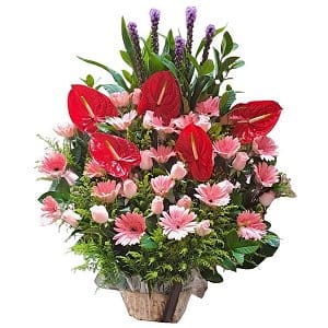 }ix | D  flower-basket-1060