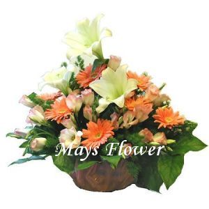 Comfort Flower Basket  getw0205
