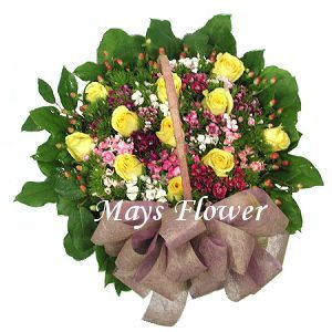 Comfort Flower Basket  comfort-flower-0221