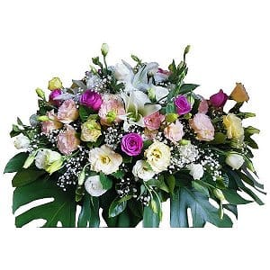 ըƪx|ƪP| o-coffin-flower-129