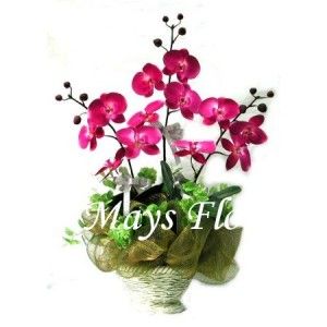 Silk Flower  silk0063