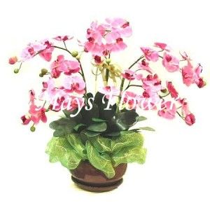 Silk Flower  silk0065
