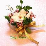 Corsage cors0080
