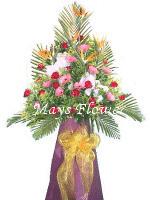Grand Opening Flower Basket flbk0273