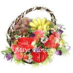 Fruit Basket fruit-basket-0050
