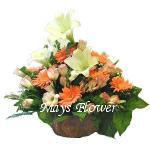 comfort-flower-0205