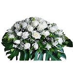 o-coffin-flower-128