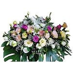 o-coffin-flower-129