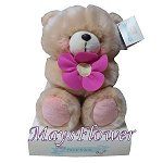 Plush Dolls doll0045
