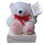 Plush Dolls doll0046