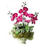 silk0063
