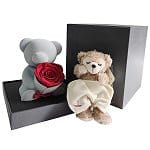 valentines-flower-2674