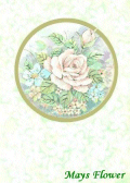 Birthday Cards / Greeting Card card5116 Birthday Cards / Greeting Card card5116