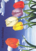 Birthday Cards / Greeting Card card5122 Birthday Cards / Greeting Card card5122