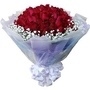 H`§ valentines-flower-2465