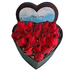 H`§ valentines-flower-2463