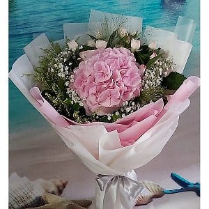 H`§ valentines-flower-2481