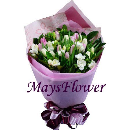 Tulip Bouquet - tulip-3622