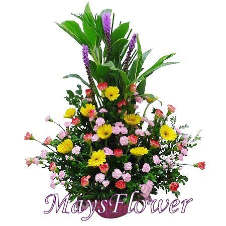 Grand Opening Flower Basket - flbk1038
