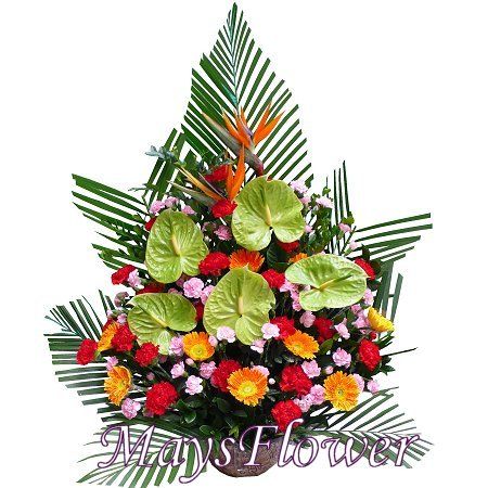 }ix - flower-basket-1034