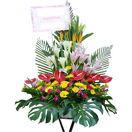 }ix - flower-basket-0153