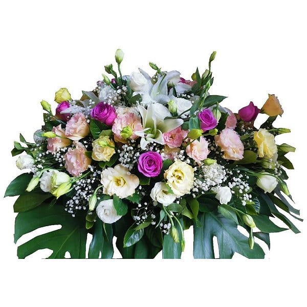 ըƪPx - o-coffin-flower-129