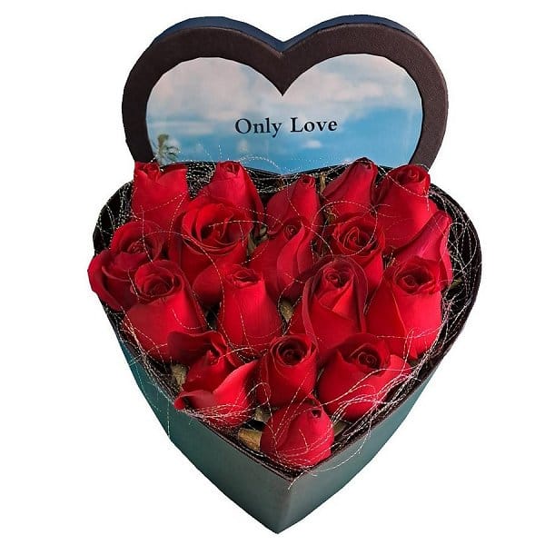 Valentine's Day Flower - valentines-flower-2463