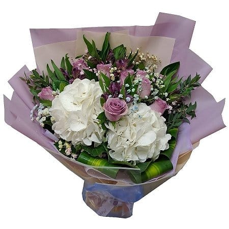 Hydrangeas Flower