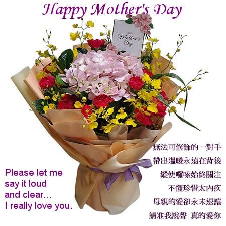 Mother's Day Flower Gift